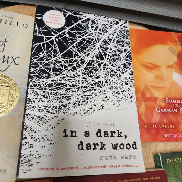 6 Book Lot – Junior Kids Fiction | Narnia | Dark Wood | Despereanx - Picture 7 of 7